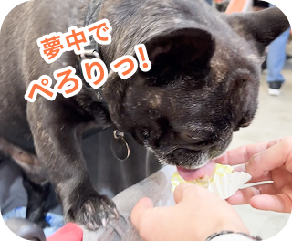 夢中でぺろりっ！