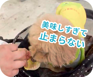 美味しすぎて止まらない