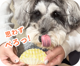 思わずぺろっ！